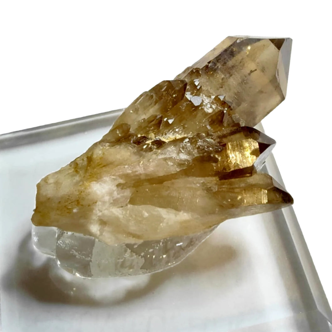 Kundalini Citrine + Stand # 36
