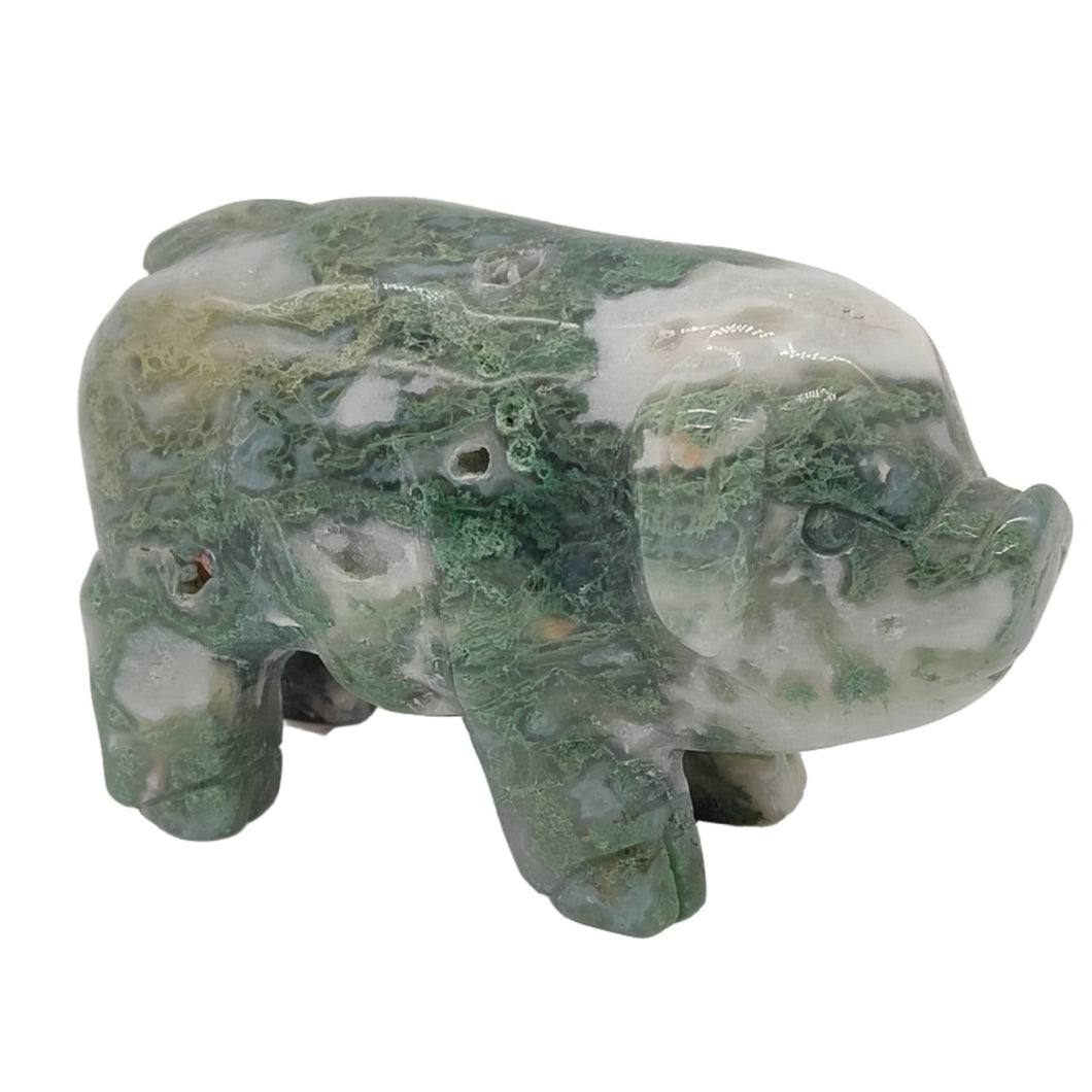 Moss Agate Pig # 99