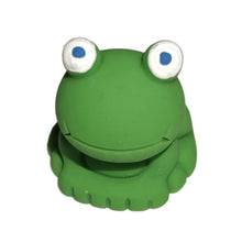 Load image into Gallery viewer, Terrarium Buddies
