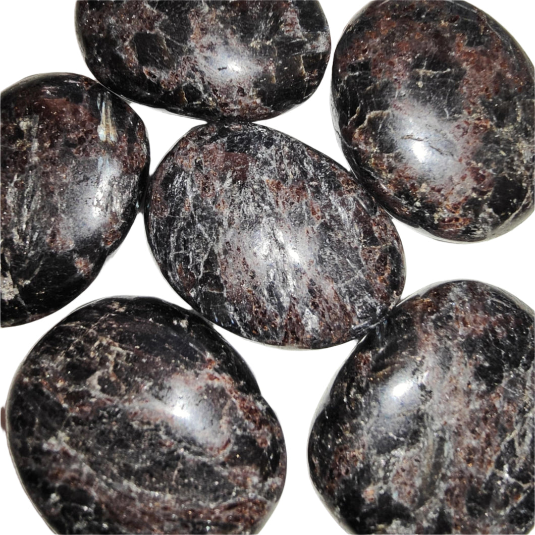 Astrophyllite Palm Stones Small