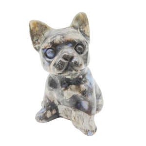 Que Sera French Bulldog # 138