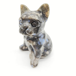 Que Sera French Bulldog # 138