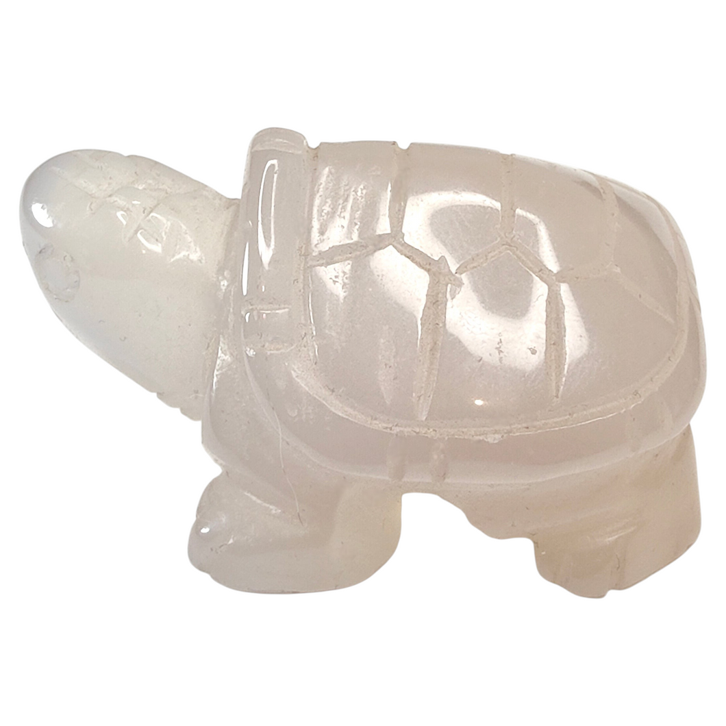 Agate Turtle # 36