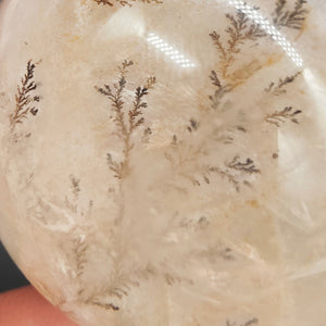 Dendritic Quartz Sphere w/Star # 40