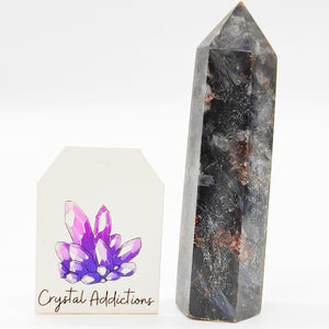 Arfvedsonite + Garnet Point # 124