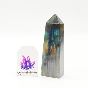 LISA WHITBURN - Labradorite Point # 161