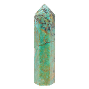 African Turquoise Point # 160