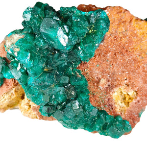 Dioptase Raw Specimen # 83