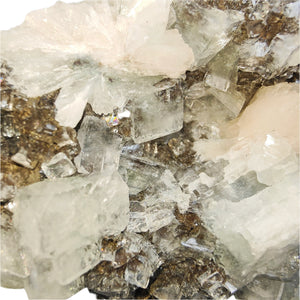 Diamond Apophyllite + Stilbite Specimen # 170