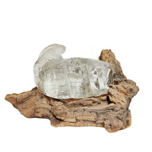 Load image into Gallery viewer, Clear Quartz with Black Rutile Carved Lizard #184
