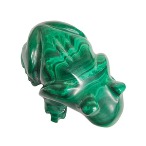 Malachite Frog # 72