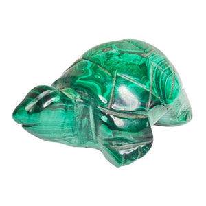 Malachite Turtle # 89