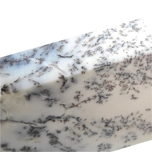 Dendritic Opal Freeform # 141