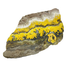 Load image into Gallery viewer, Bumblebee Jasper Free Form # 74
