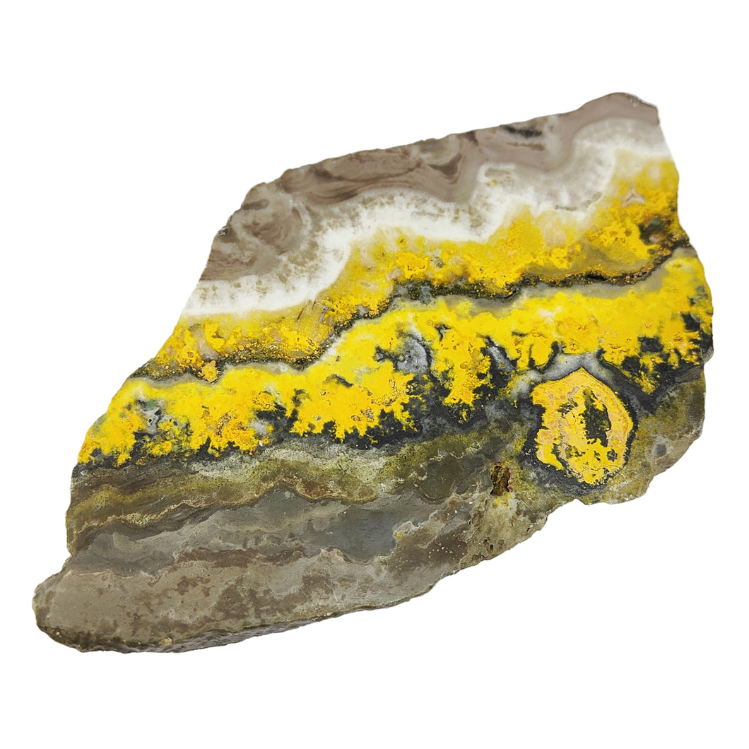 Bumblebee Jasper Free Form # 74