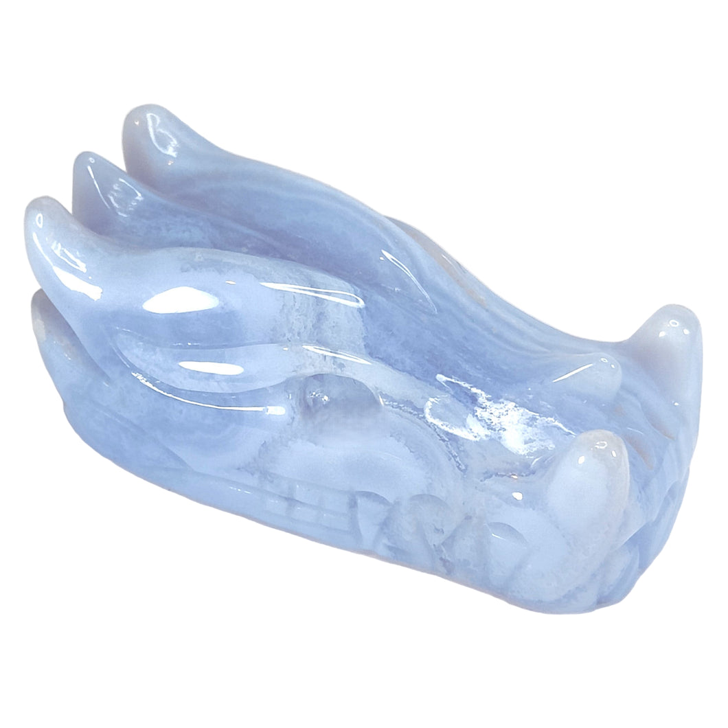 Blue Lace Agate Dragon Head # 146