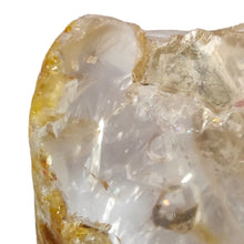 Load image into Gallery viewer, Enhydro Golden Healer Freeform # 86
