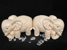 Load image into Gallery viewer, Tagua Nut Elephant Set

