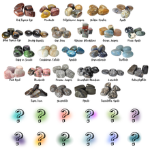 Load image into Gallery viewer, LESLEY BROOKS - Tumble Blind Bag X2
