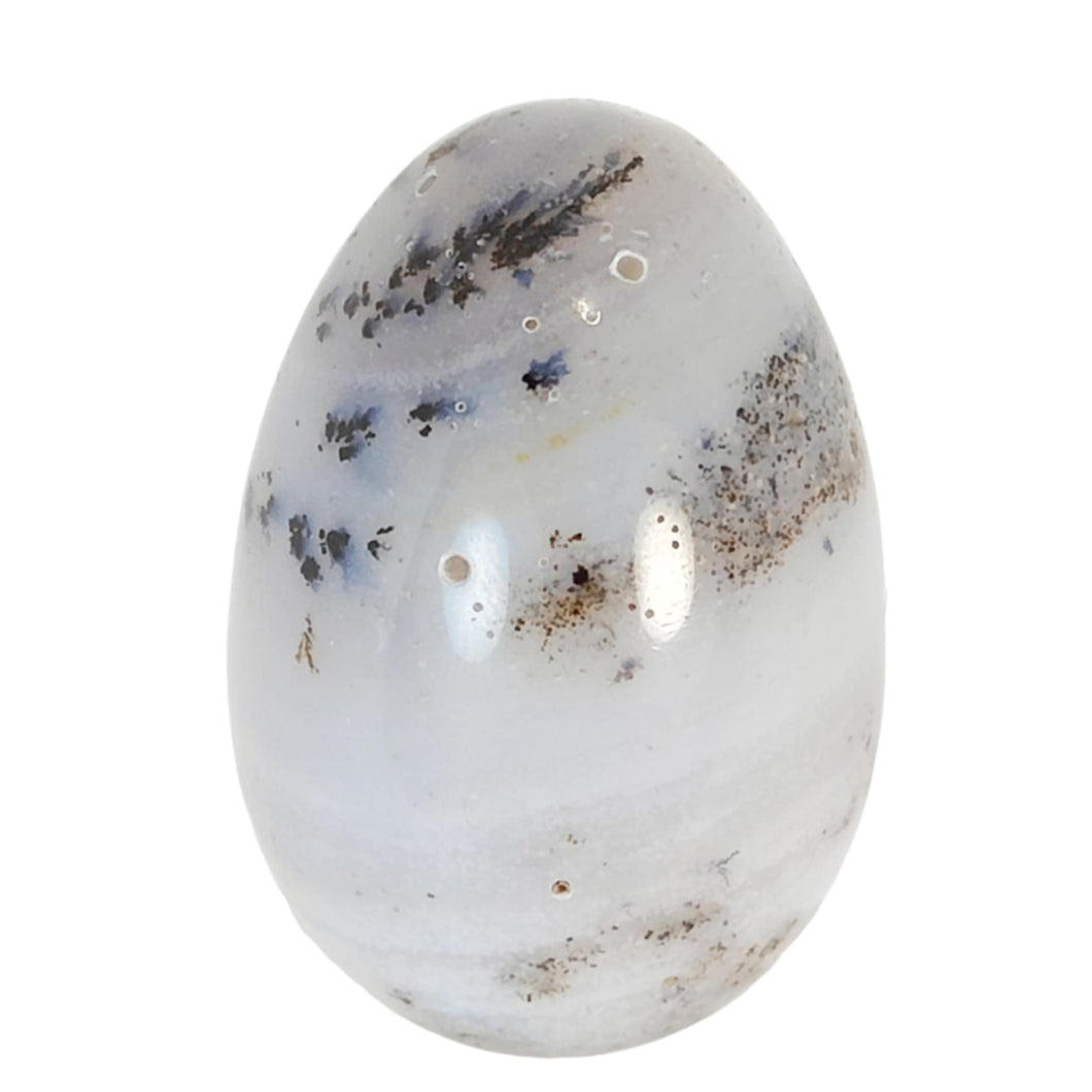 Dendritic Agate Egg # 105