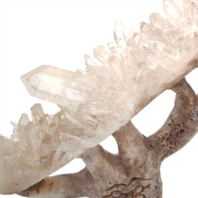 Load image into Gallery viewer, Clear Quartz Cluster Tree # 126
