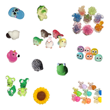 Load image into Gallery viewer, Terrarium Buddies
