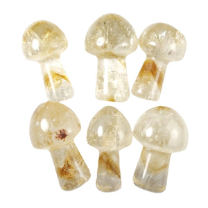 Citrine Mini Mushroom High Grade