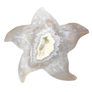 Agate Druzy Starfish # 145
