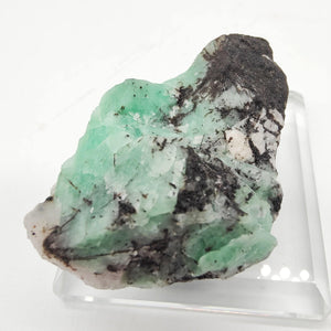 Emerald Specimen # 198