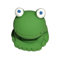 Load image into Gallery viewer, Terrarium Buddies
