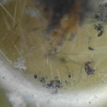 Load image into Gallery viewer, Scenic Garden Quartz with Golden Rutile Sphere # 52
