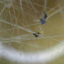 Load image into Gallery viewer, Scenic Garden Quartz with Golden Rutile Sphere # 52
