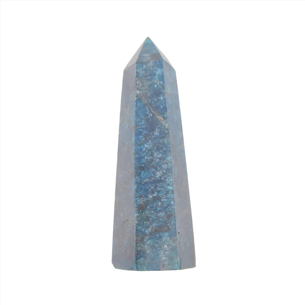 Apatite Point # 81