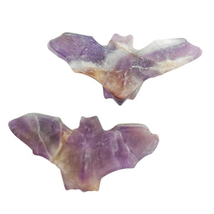 Bats