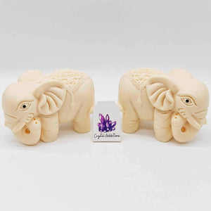 Tagua Nut Elephant Set