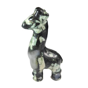 Chrysanthemum Stone Giraffe # 19