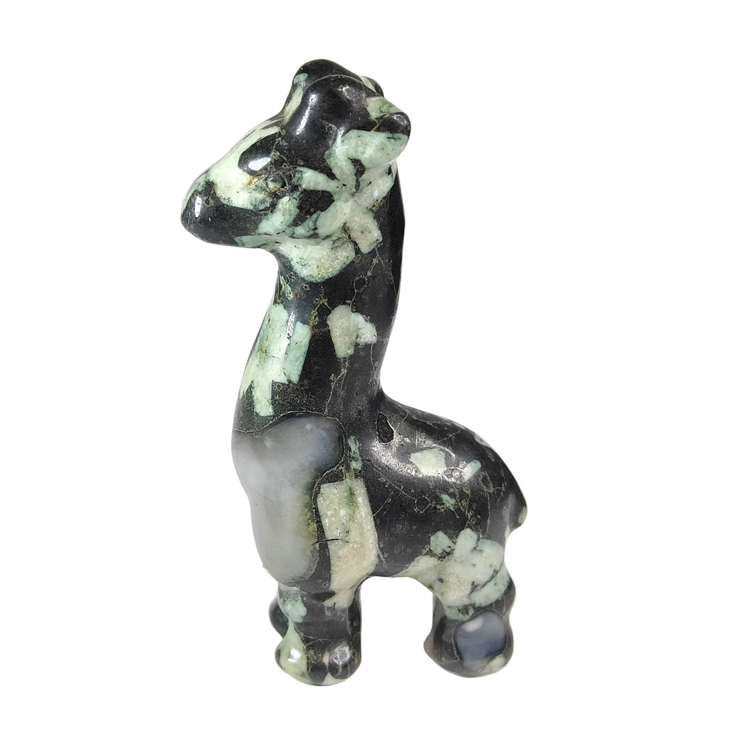 Chrysanthemum Stone Giraffe # 19