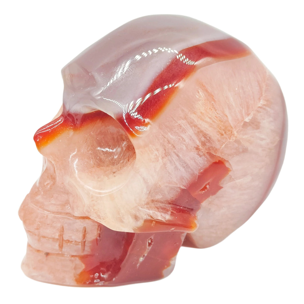 Carnelian Skull # 197