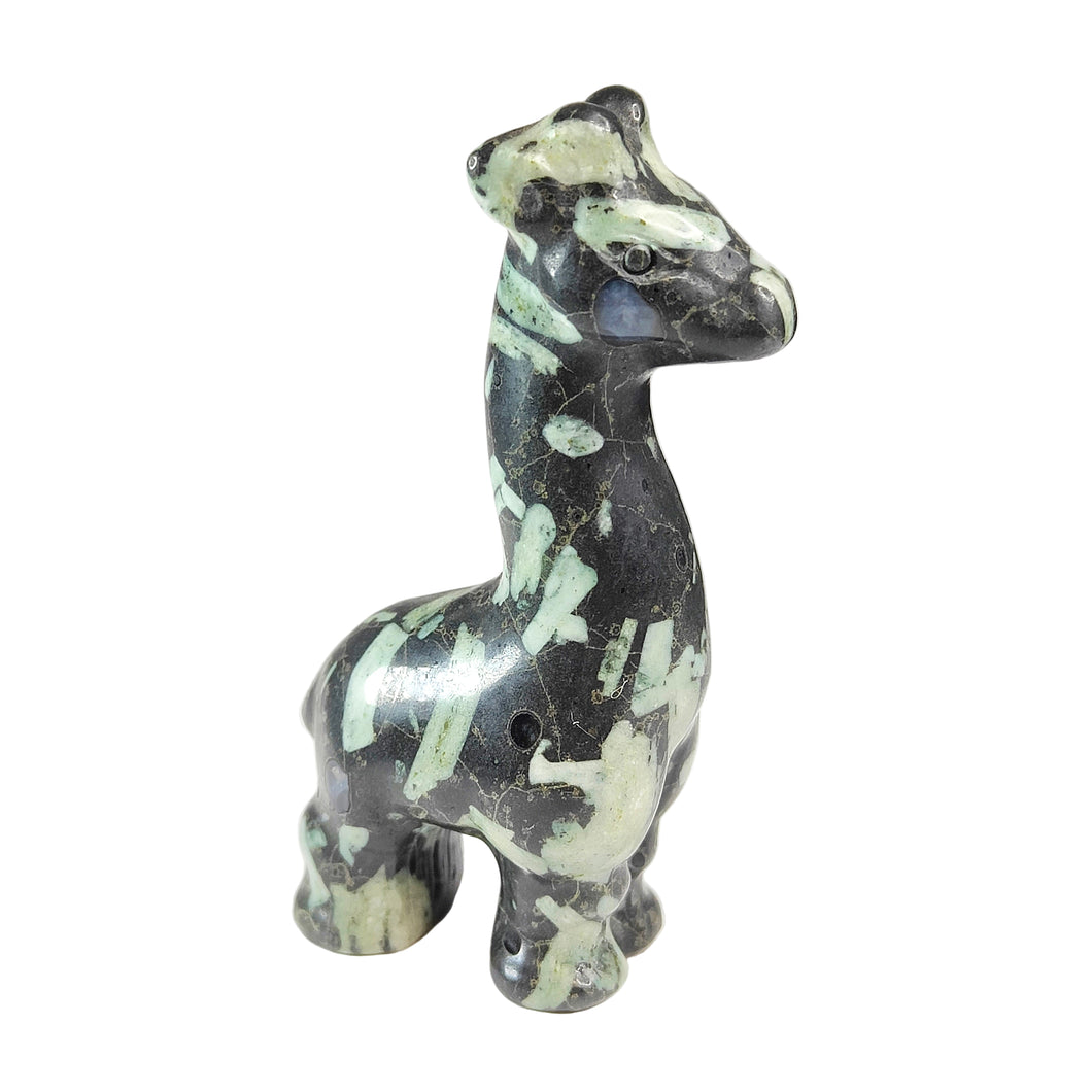Chrysanthemum Stone Giraffe # 117