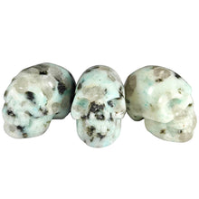 Load image into Gallery viewer, Skulls Mini
