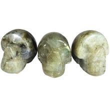 Load image into Gallery viewer, Skulls Mini
