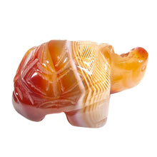 Load image into Gallery viewer, Orange Banded Agate Turtle # 98
