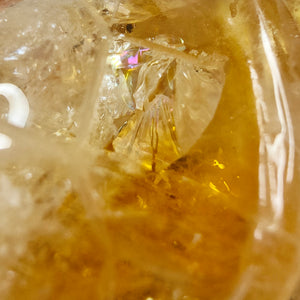Citrine Turtle # 147