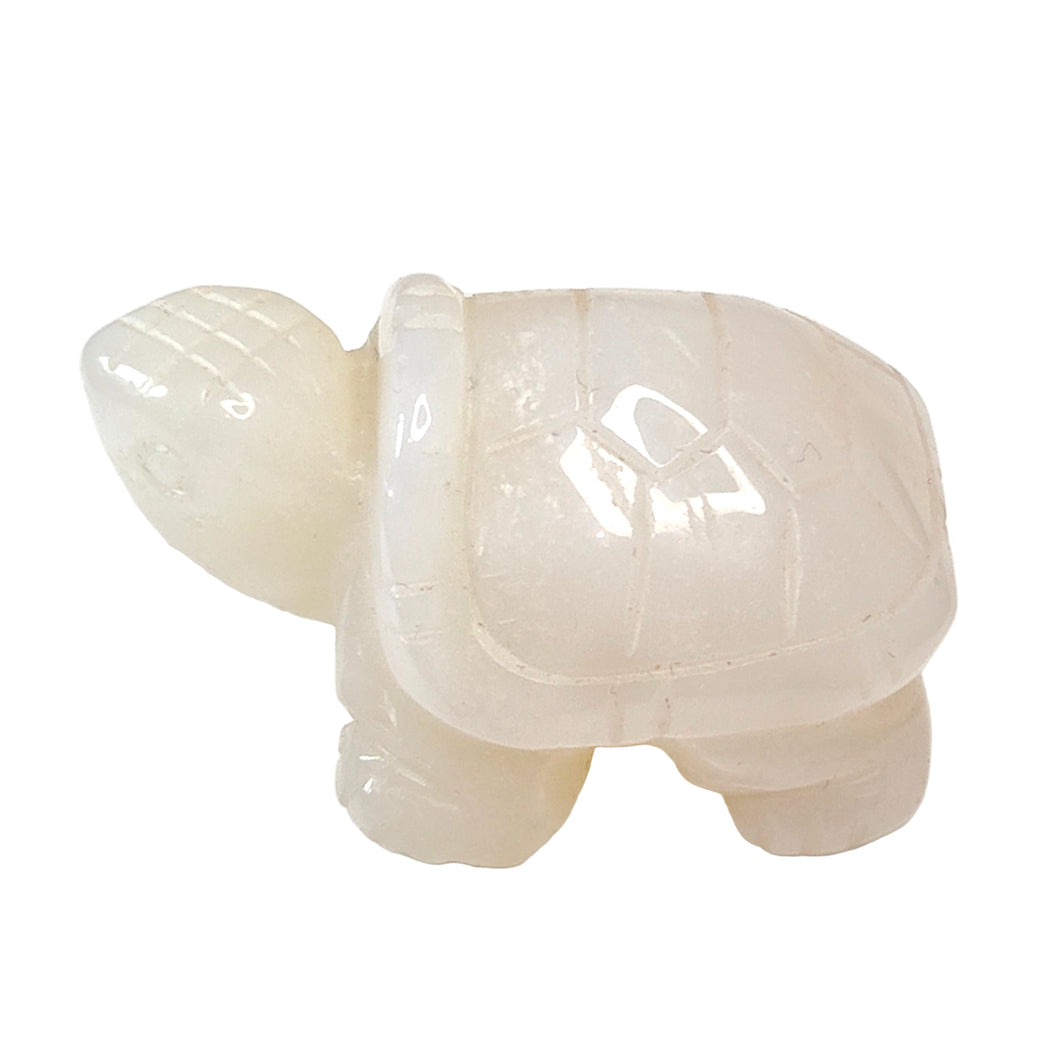 Agate Turtle Small #31