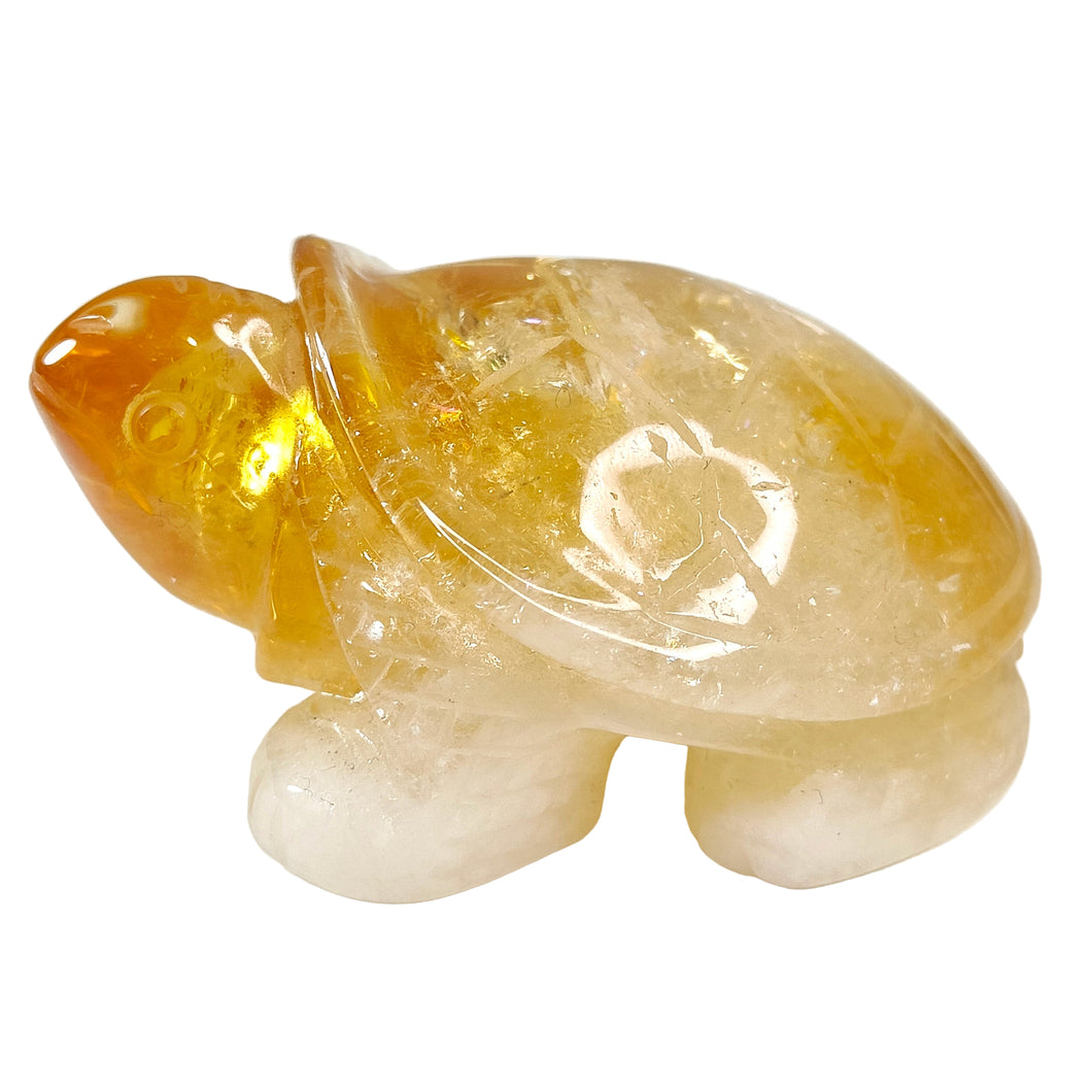 Citrine Turtle # 147