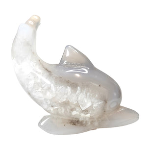 Agate Druzy Dolphin # 72