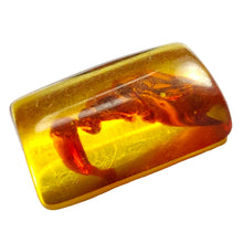 Load image into Gallery viewer, Amber Cabochon # 25
