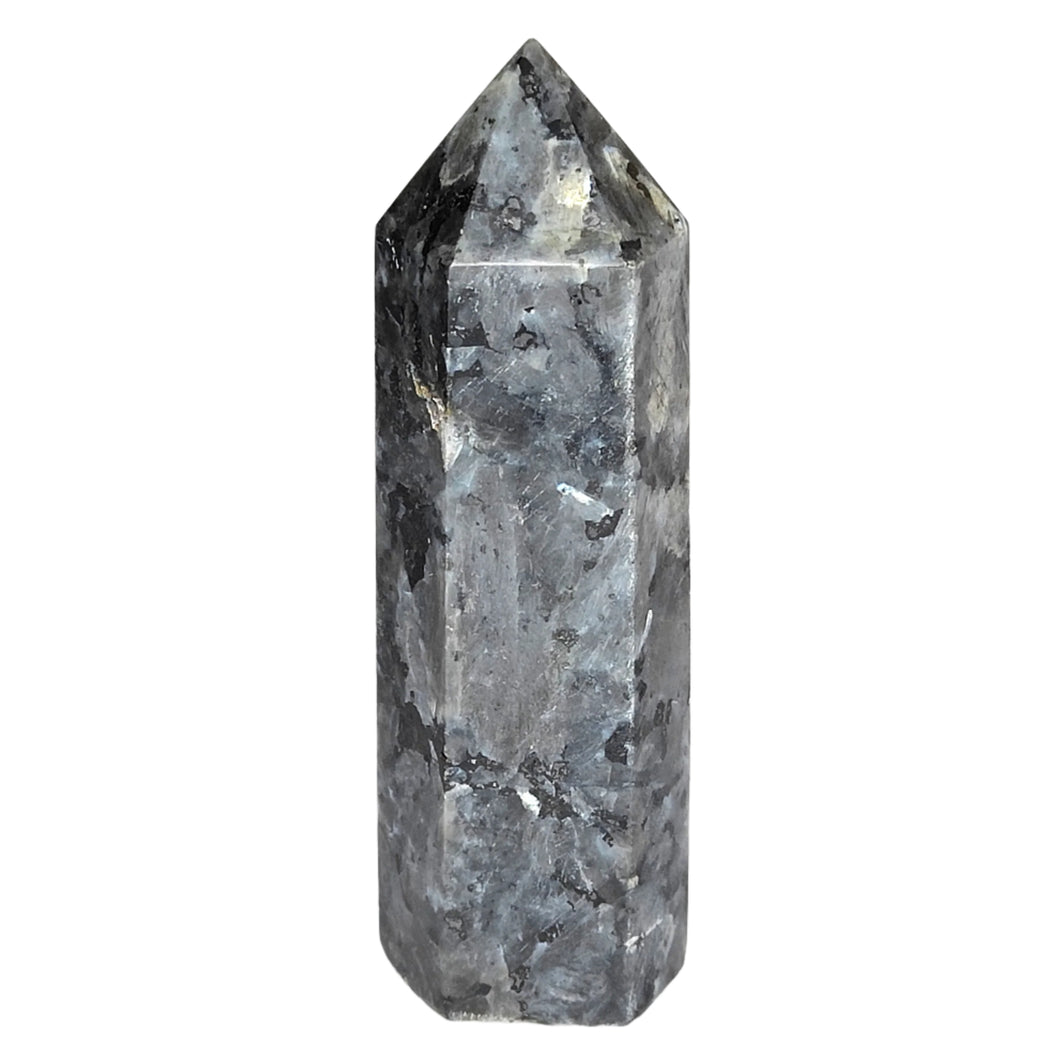 Larvikite Point # 22