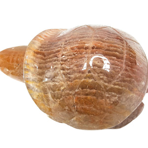 1000 Layer Garden Quartz Turtle # 62