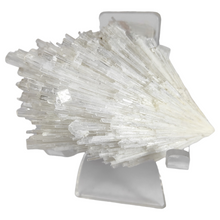 Load image into Gallery viewer, Scolecite Spray + Cubic Apophyllite Specimen # 58
